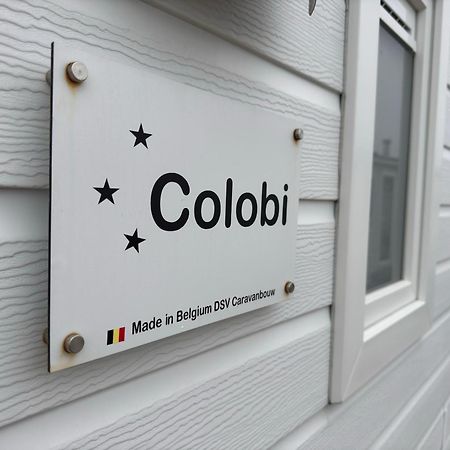 Camping Oasis Middelkerke Romy 1, 2, 3, 4 Ostenda Zewnętrze zdjęcie
